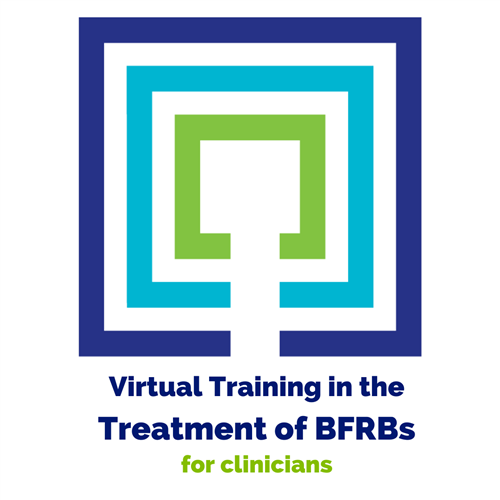 Virtual Professional Training Institute